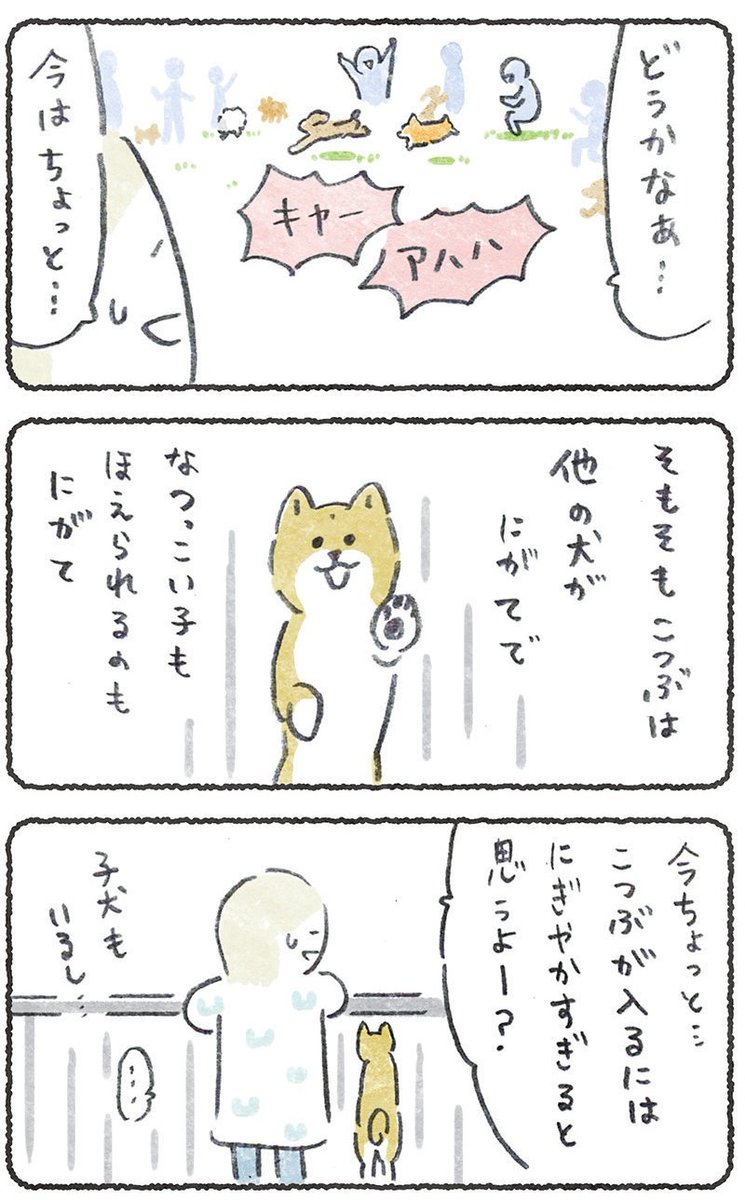他人とどう付き合っていきたいかは人それぞれ☺️
わんこも同じよね☺️
リプにつづきが読めるURL貼ります
(11月23日.朝10時までどなたでも)
#豆しばこつぶ