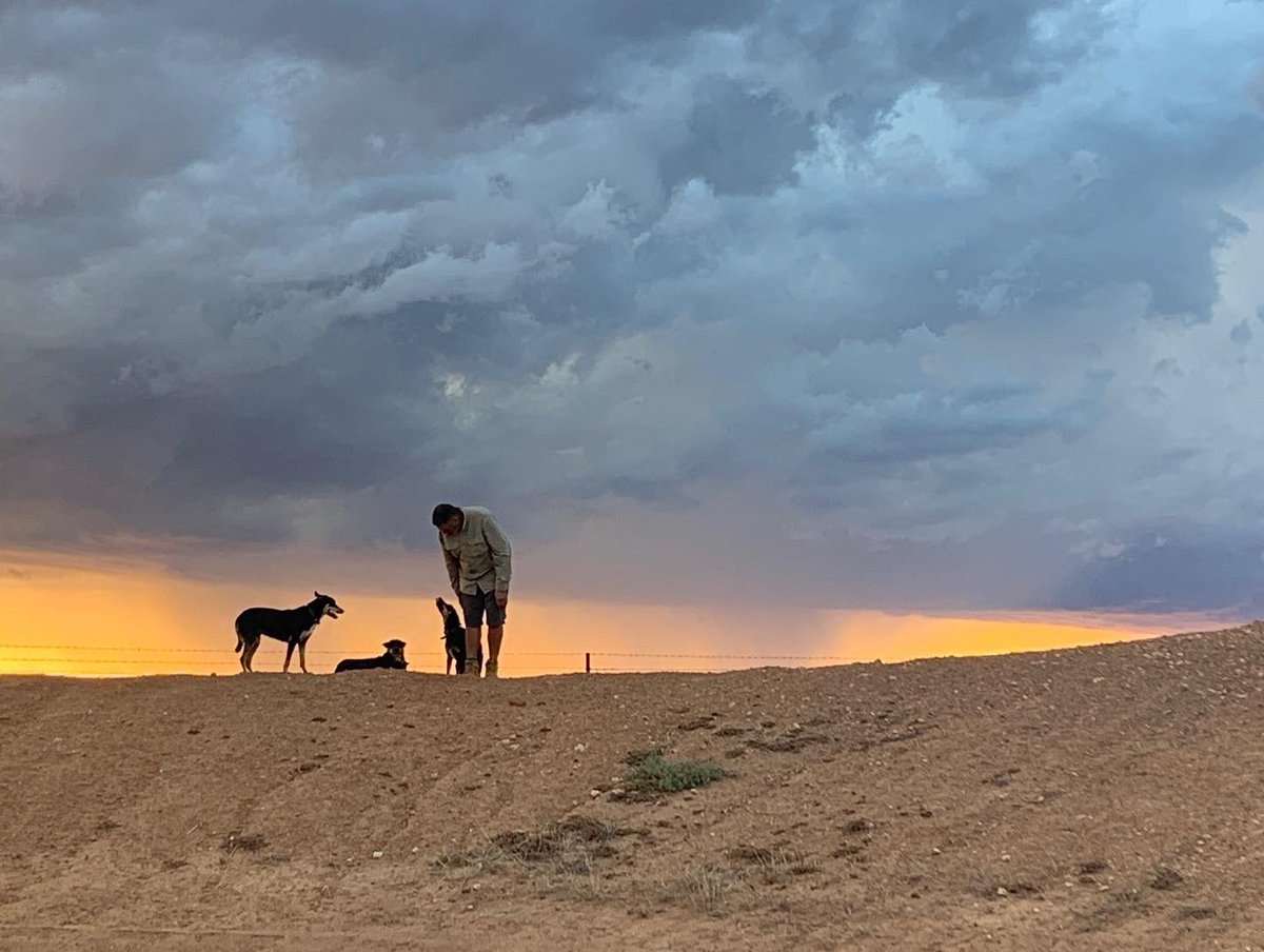 allabroadau's tweet photo. Watching a storm roll in over the wheat plains in Western Australia last night. Amazing cloud formations and colours.
#abcweather #travelwesternaustralia #farmstay #stormclouds #weather https://t.co/4WFbQwwNz5
