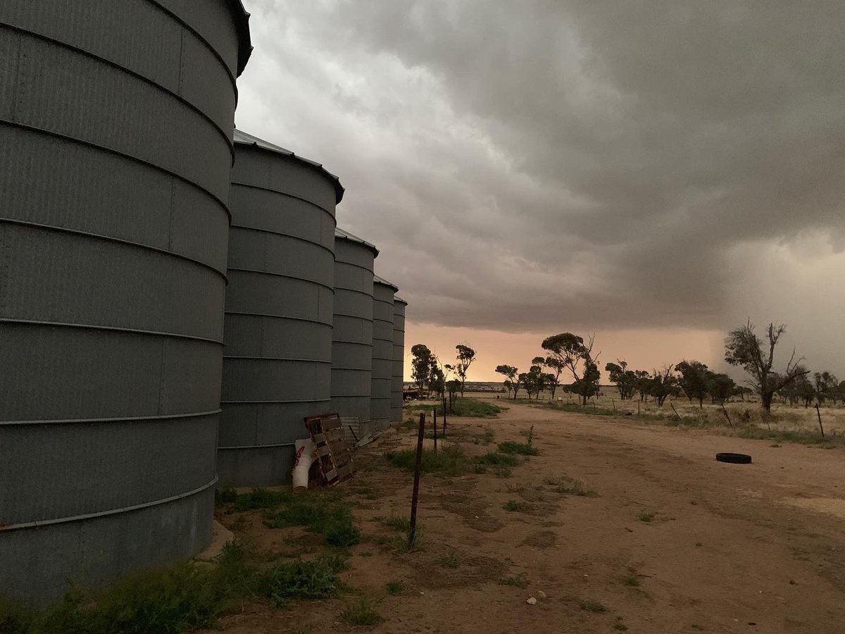 allabroadau's tweet photo. Watching a storm roll in over the wheat plains in Western Australia last night. Amazing cloud formations and colours.
#abcweather #travelwesternaustralia #farmstay #stormclouds #weather https://t.co/4WFbQwwNz5