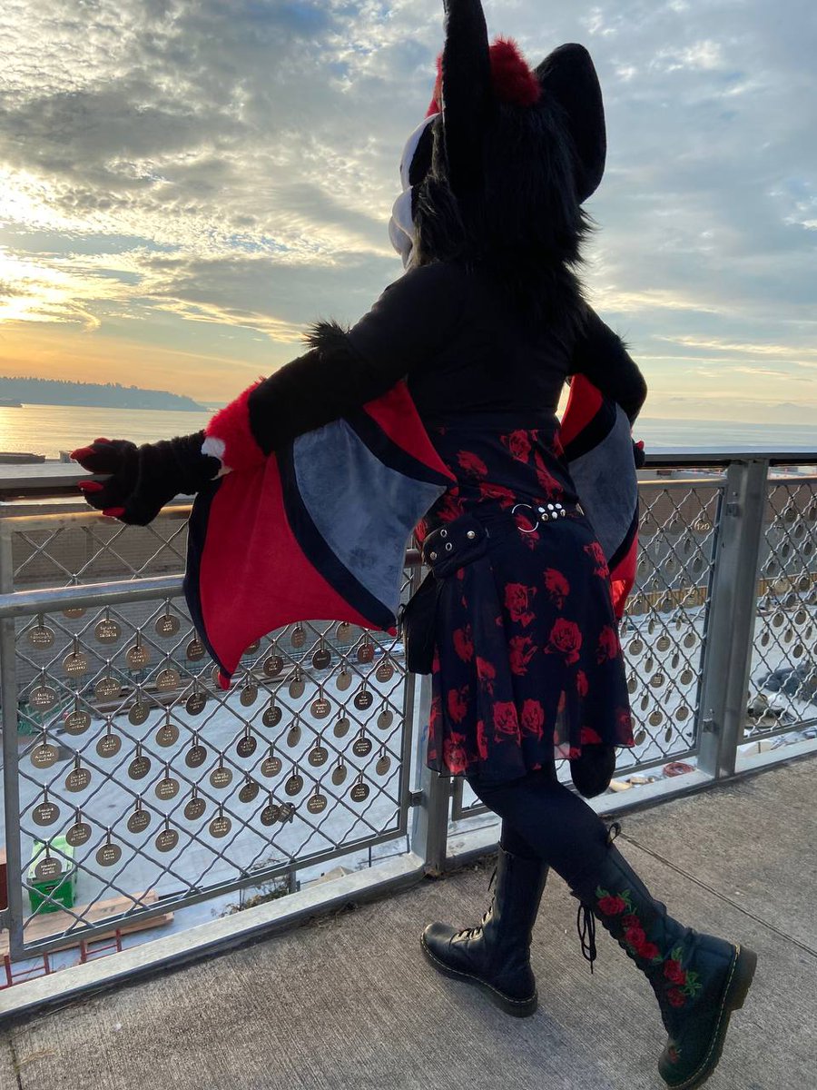 Roxy_Bat's tweet photo. Sunset, no regrets 🌅
#ANW2021 https://t.co/Y3130JaXxo