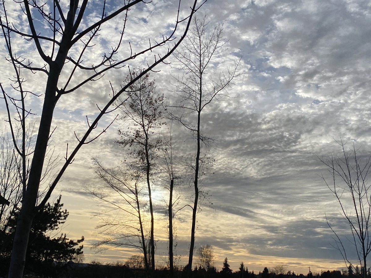 Jackieg16694752's tweet photo. November Sunday Sunsets!
#SundayThoughts https://t.co/8CKN8AHhWT