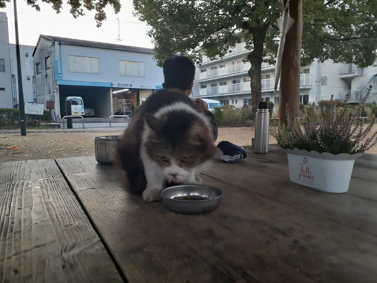 ひでぼう @nRi7f8TYyAKSaMQ Timeline, The Visualized Twitter (Analytics)