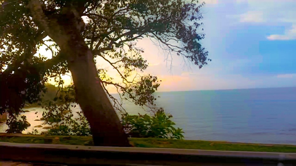 kuttangraphy's tweet photo. Scenery Seems Like Painting 💙💚

#scenery #photography #amour #love #lifestyle #picoftheday #island #islandlife #original #wanderlust #landscape #instamood #tbt #nature #naturephotography #naturelovers #malaysia #penang #mobilephotography #kuttangraphy🕊️ https://t.co/q1GZi5EeRO