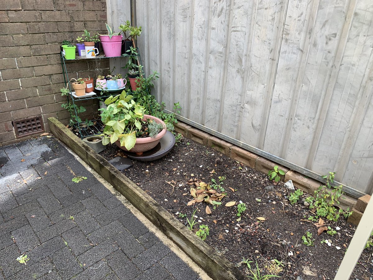 DarrenMartin01's tweet photo. Unfortunately the residents weren’t able to join us today, but we left a little surprise for them - a new garden bench! Now the ladies have a space to potter about and hung their baskets. #commumitygreening @RBGSydney and #Tallowood Men’Shed supporting the community. https://t.co/R5iHmQCYYN