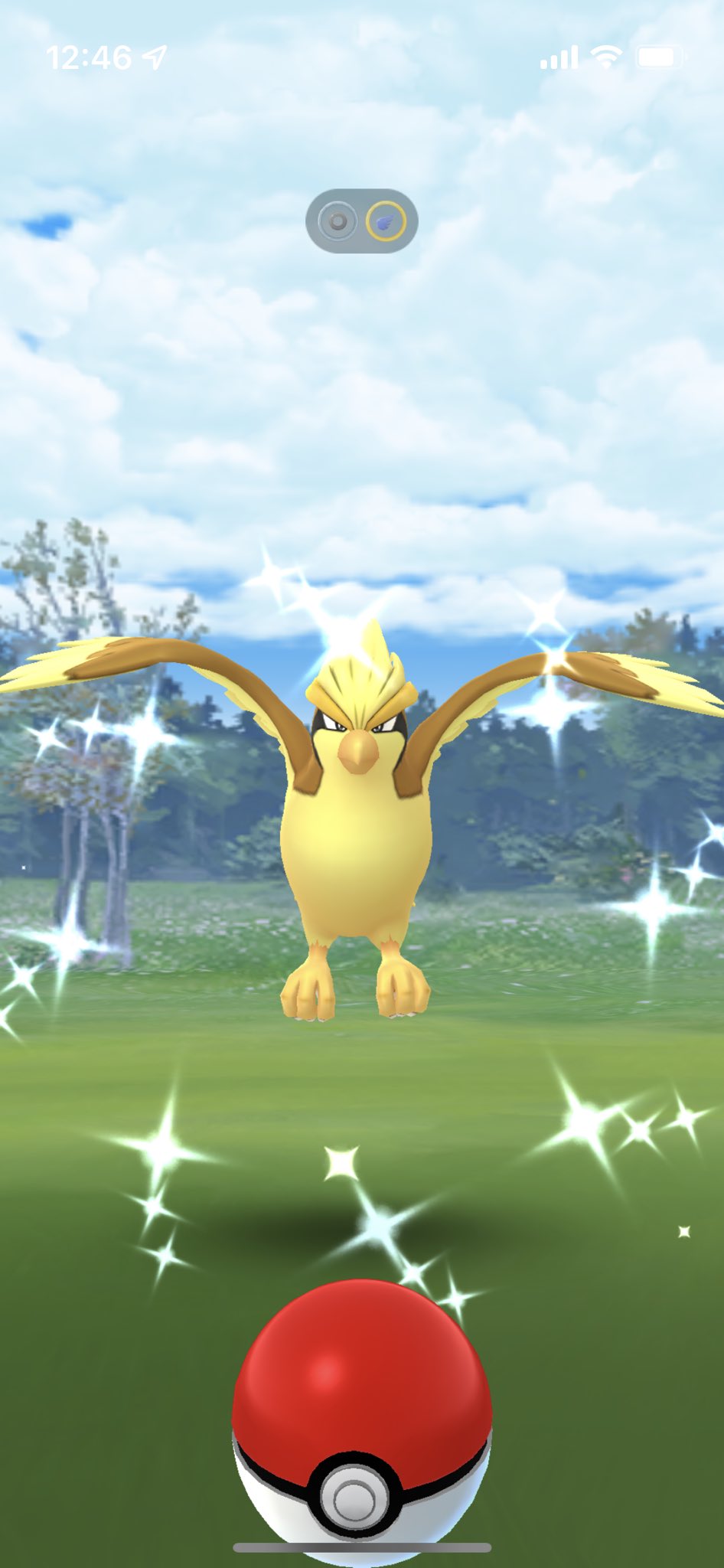 Ryoka27 野生でピジョットなんて珍しいなーって思ったら色違いだった Cp140低すぎる笑 ポケモンgo Pokemongo T Co Q26y4r2jgl Twitter