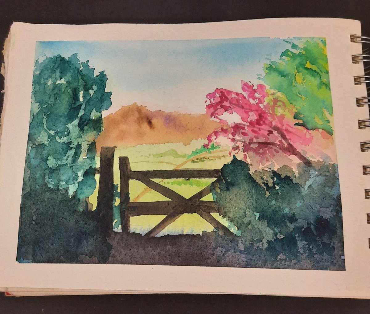 I haven't painted in a week... but I spent most of the weekend arranging, cleaning and swatching all my paint pallets. Then did this. #watercolor #landscape