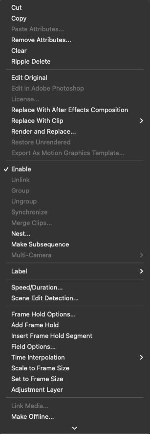 Summar_Time's tweet photo. Right clicking has its use when editing. You can change the speed and volume of your video, nest two videos together, unlink and relink your video and audio, and much more. Give them a whirl! https://t.co/lEmPXN6l0u