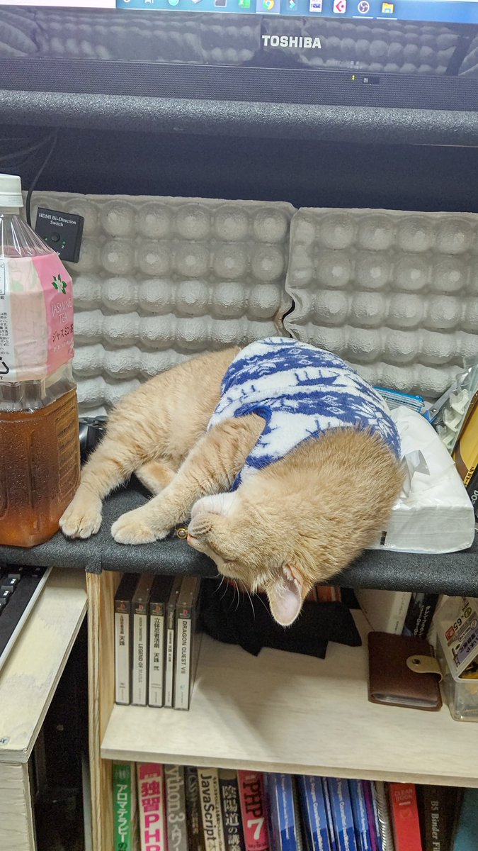 sunagonNeko's tweet photo. ゲーム中のすなごん

実はカメラ向けられて起きてるwww

そういやうちのカラオケはさらに防音効果高める為に卵パックを導入しましたwww
大声出しても隣の部屋にはほとんど聞こえなーい(￣∀￣*)ｲﾋｯ https://t.co/y1Yc9uMXTk