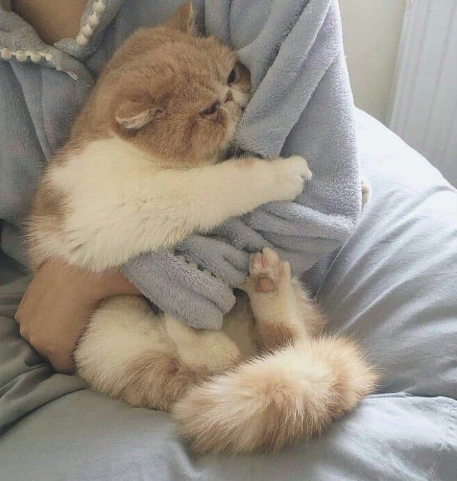 sunoofyibix's tweet photo. @tidgamecuteboy น้องเรย์ หัวใจ พี่ติดเกม ตลอดไป https://t.co/mg4W6f61GG