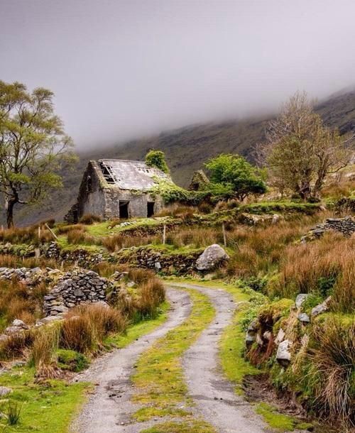 <a href="/AarTee33/">आरती सिंह</a> <a href="/Yasmeen80859727/">Yasmeen khan🌸</a> <a href="/KavyaKriti_/">#काव्य_कृति✍️</a> <a href="/choteesibaat/">lavanya</a> <a href="/pareeknc7/">Narpati C Pareek 🇮🇳</a> <a href="/ArchanaVed/">Archana Sharma</a> <a href="/kr0271amit/">अमित🇮🇳</a> <a href="/tripathiarun123/">Arun Kumar</a> <a href="/GeetaNatha/">GeetaNatha</a> <a href="/MengiKuldip/">Kuldip Mengi</a> <a href="/margret_017/">Margret.</a> <a href="/Sksio3/">सन्तोष 'एहसास'</a> <a href="/VineshGaba/">Vinesh Gaba</a> <a href="/madhuleka/">मधूलिका सिंह</a> <a href="/MaltiVishwaka12/">Malti Vishwakarma</a> @PihuShah30 <a href="/ParmarA03/">Arti Singh</a> <a href="/arorafbd/">arrora 🇮🇳</a> <a href="/mridulkirti/">डॉक्टर मृदुल कीर्ति</a> <a href="/alokrsrivastav/">Alok Ranjan Srivastav</a> <a href="/mkanoujia78/">Manoj Kanaujia (Rajak)</a> <a href="/Syadav02/">Sunita Yadav</a> <a href="/Tohopeislife/">Yogesh Mishra</a> घर से जितनी दूरी तन की,
उतना समीप रहा मेरा मन,
धूप ~ छाँव का खेल जिँदगी
क्या वसँत , क्या सावन!
नेत्र मूँद कर कभी दिख जाते,
वही मिट्टी के घर आँगन,
वही पिता की पुण्य ~ छवि..!!
#लावण्या_शाह 
#जन्मदिन 💐 
#काव्य_कृति✍️ #काव्य ✍️