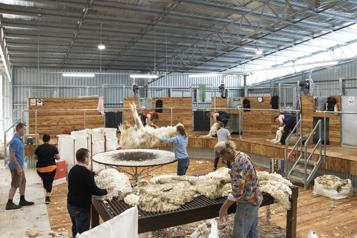 ActionSteel's tweet image. Shearing shed goals.

It was fantastic to see this state-of-the-art shearing shed complex, built in collaboration with @ProWay2000, in full swing!

📍Mininera VIC

#BigSheds #ProWayAUS