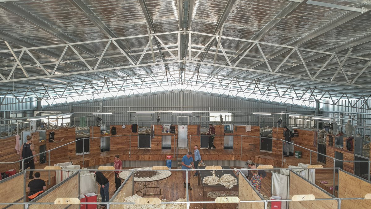 ActionSteel's tweet image. Shearing shed goals.

It was fantastic to see this state-of-the-art shearing shed complex, built in collaboration with @ProWay2000, in full swing!

📍Mininera VIC

#BigSheds #ProWayAUS