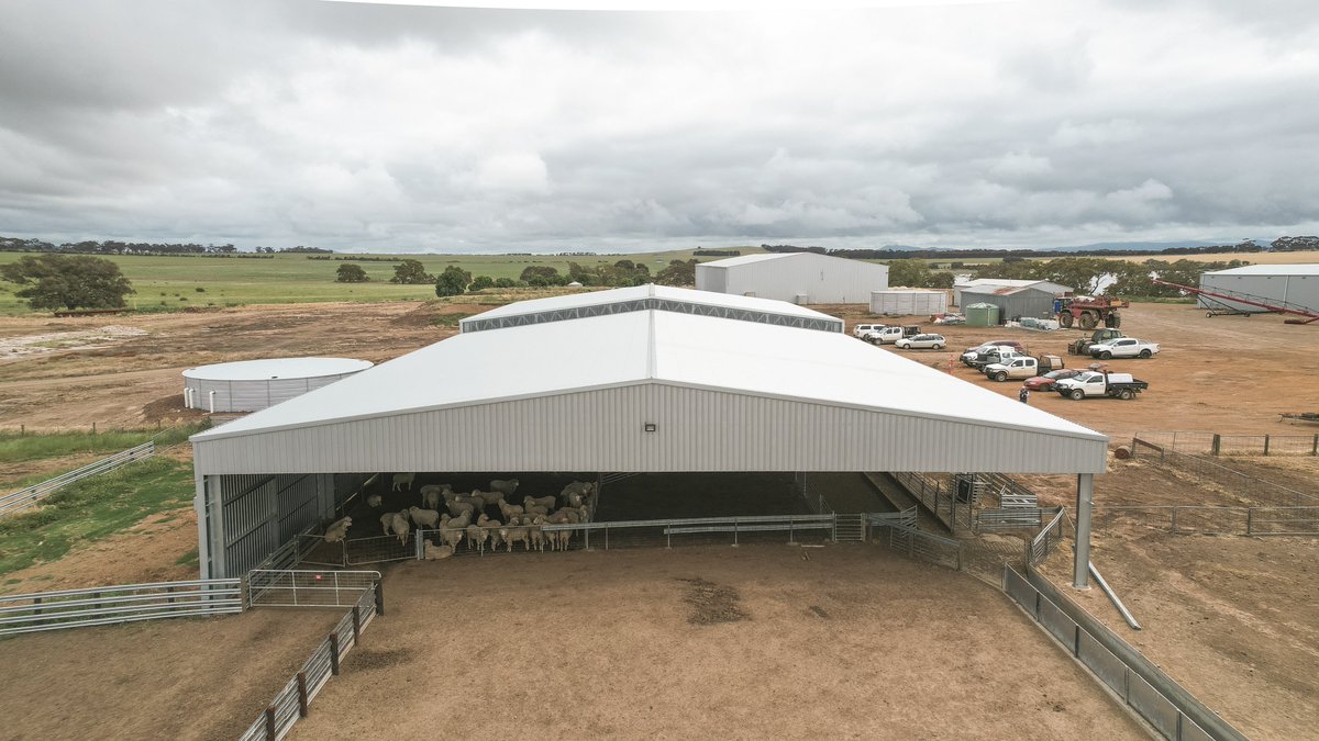 ActionSteel's tweet image. Shearing shed goals.

It was fantastic to see this state-of-the-art shearing shed complex, built in collaboration with @ProWay2000, in full swing!

📍Mininera VIC

#BigSheds #ProWayAUS