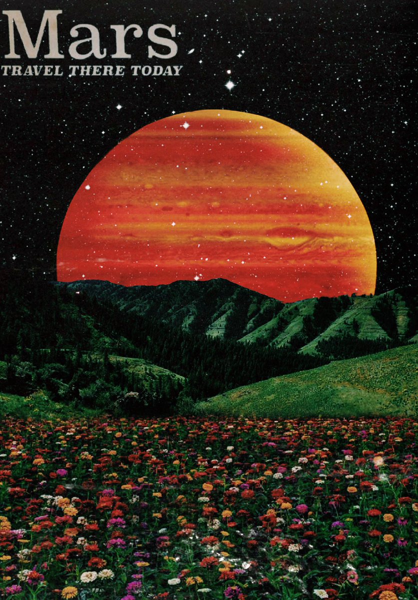 1:11(🖼,🖼) tweet media