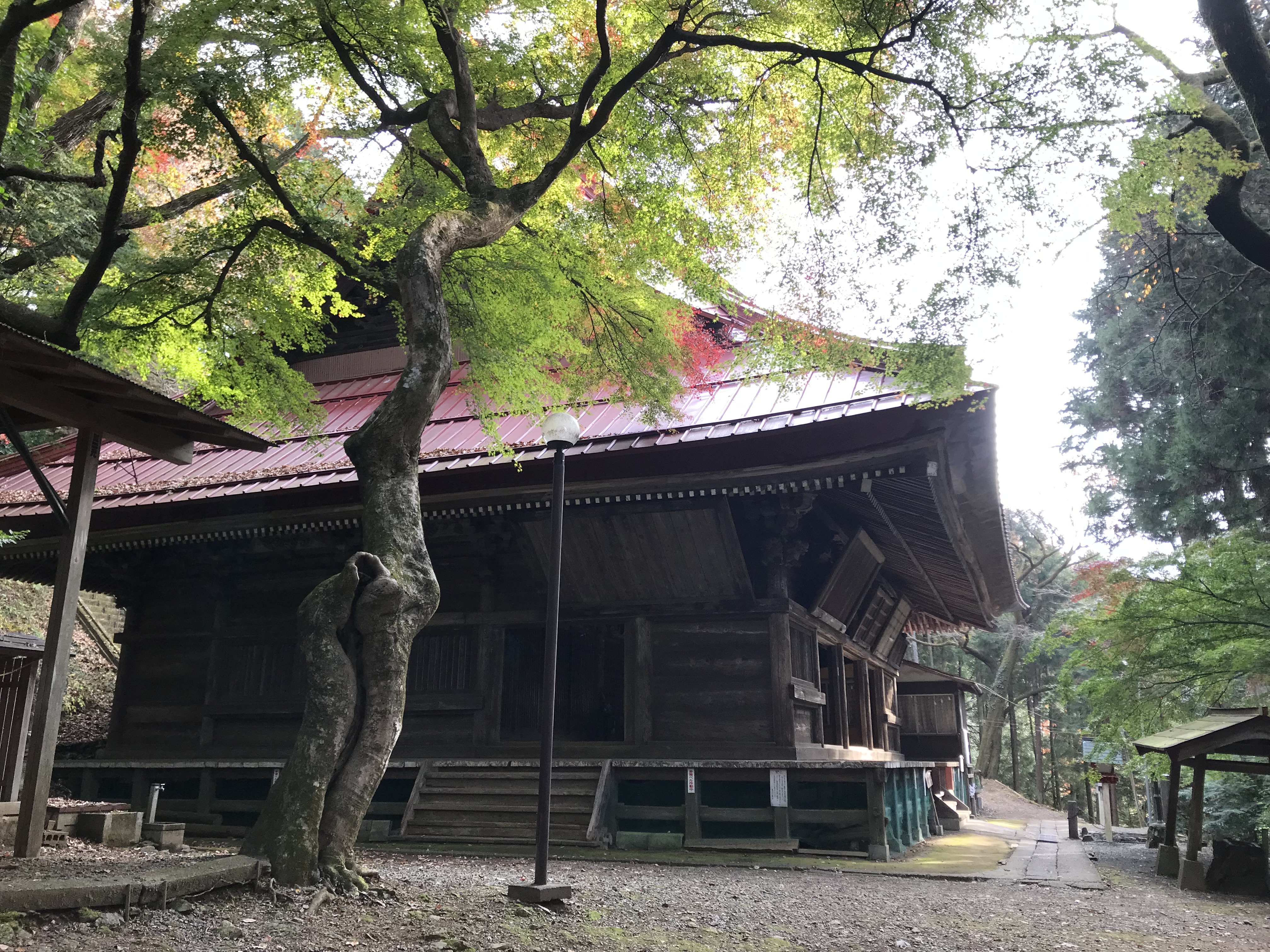 東郷公園秩父御嶽神社 Twitter Search Twitter
