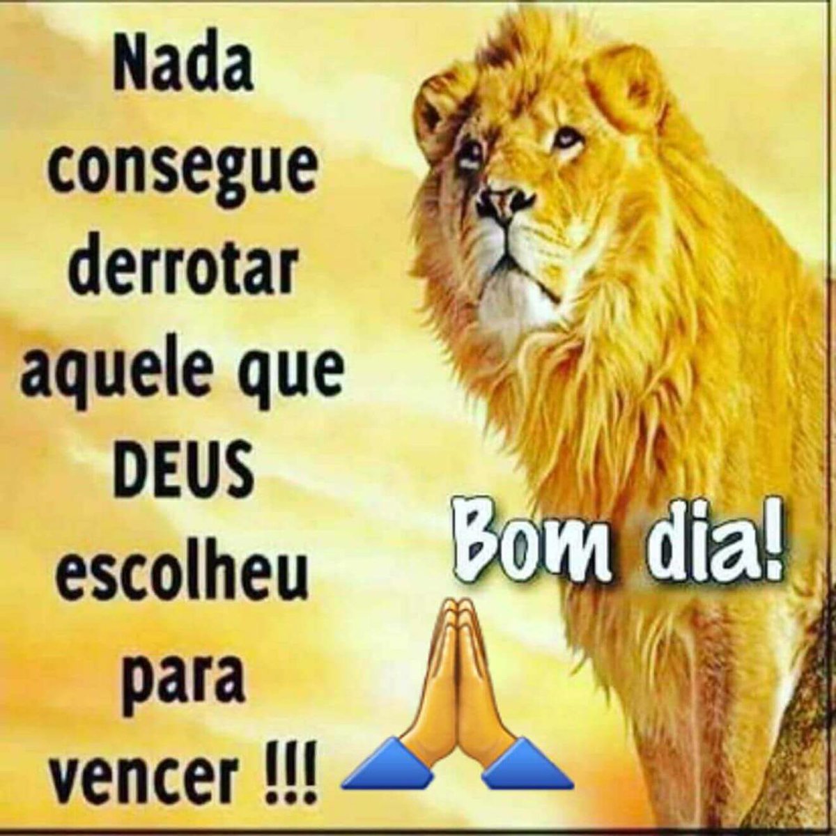 amaraltadeu14's tweet photo. https://t.co/tipVGi3pYS