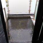 ツイートに含まれる画像