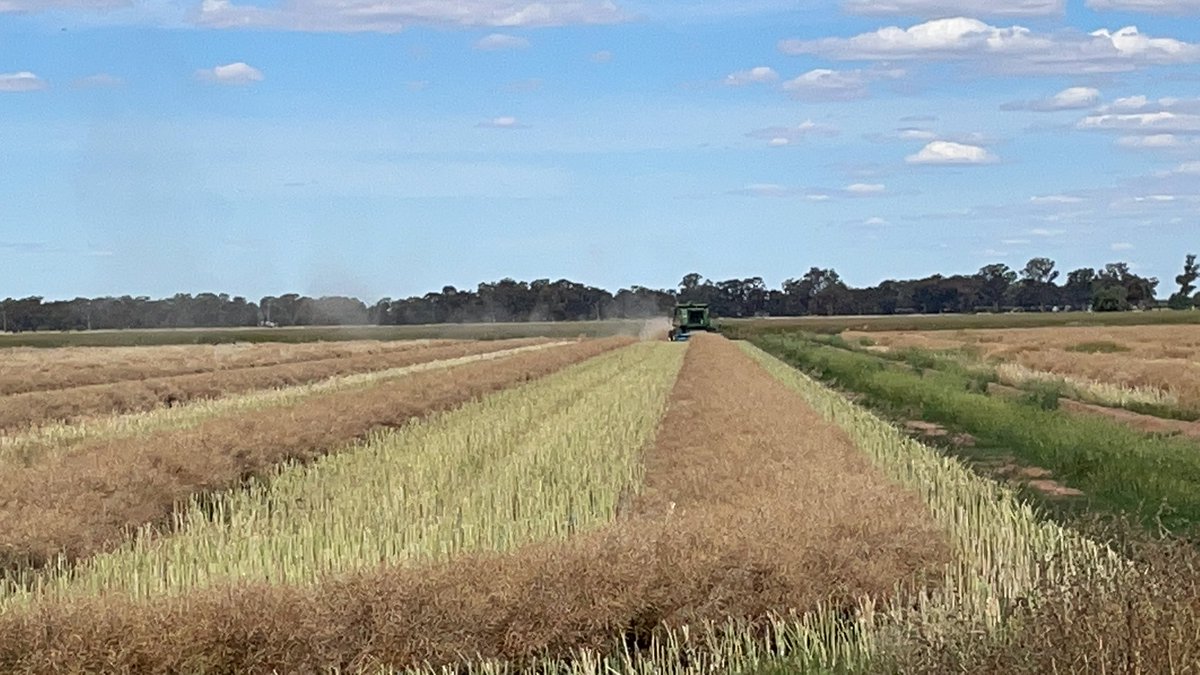 Bill Harding tweet media