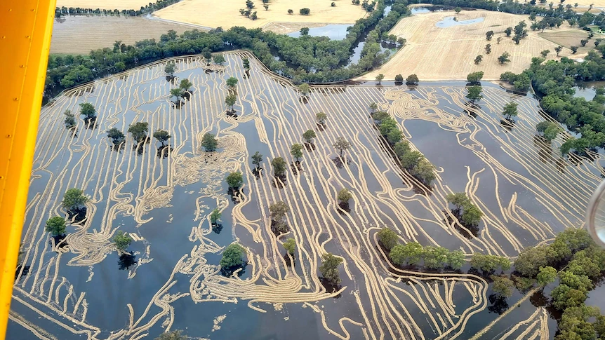 discoverypatto's tweet photo. Wow...devastating, but wow! Forbes, NSW
Image courtesy @ABCRural and Tomlinson Ag Services https://t.co/FmfpSI1nAC