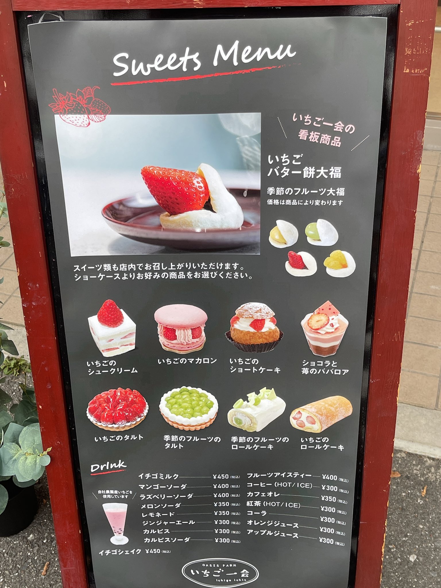 オアシスファーム いちご一会 苺大福 通信販売 Oasisfarm15 Twitter