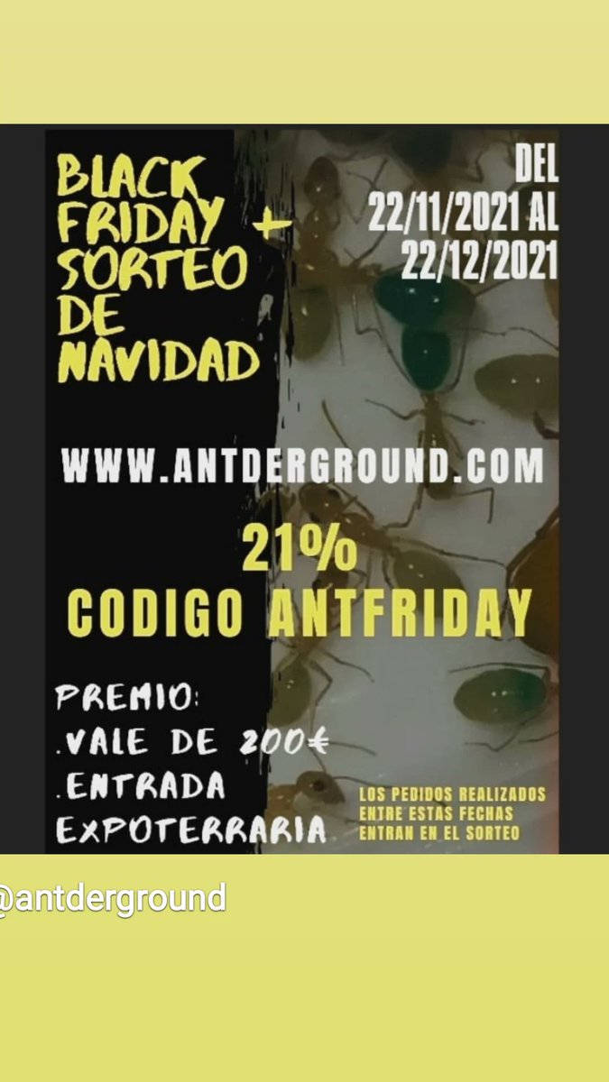 antderground's tweet photo. Somos una pequeña empresa familiar de hormigueros. Agradeceremos cualquier difusión #antderground #antnectar @escolasantjoan #formigues #hormigas #mirmecologia https://t.co/10KiScW9OP