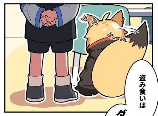 これがこう 