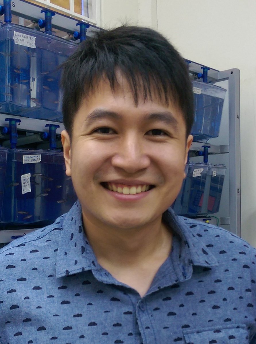 <a href="/Kazebrafish/">Kazuhide Shaun Okuda</a> is a postdoc <a href="/BenjaminHogan13/">Ben Hogan</a> lab <a href="/PeterMacRes/">Peter Mac Research</a> interested in visualising dynamic signalling events in vessels, and identifying and characterising new genes involved in lymphatic development using zebrafish #zebrafish #vasculature #development #dynamic #microscopy 🔬
