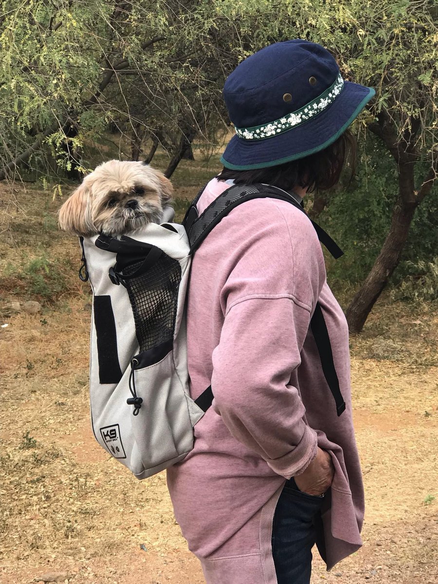 drpricebarry's tweet photo. Just me and my dog, Hillary-Lucy♥️ https://t.co/vnKSOOxJ4p