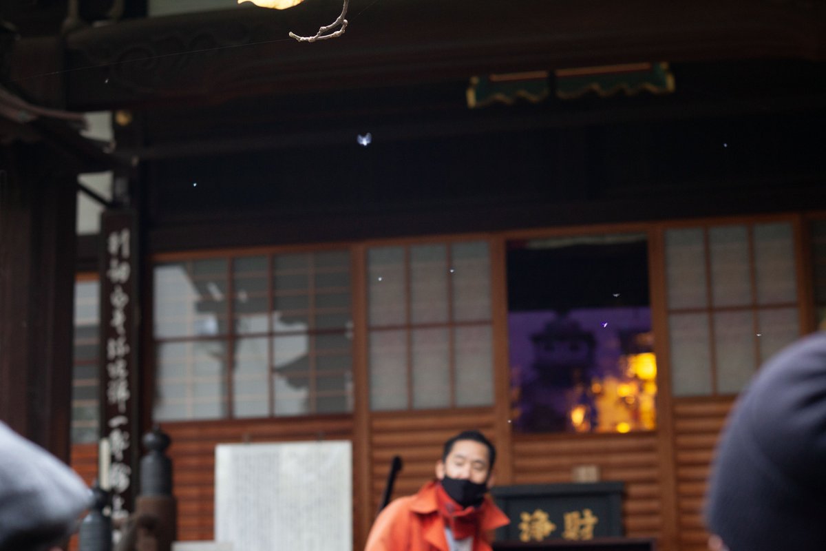 gento466's tweet photo. 湯浅学、いしいしんじ、樋口泰人の「蓄音寺祭り」。
冬の到来を告げる白い妖精ことトドノネオオワタムシの「And I Love Her」での舞。 https://t.co/XF1wOL615T