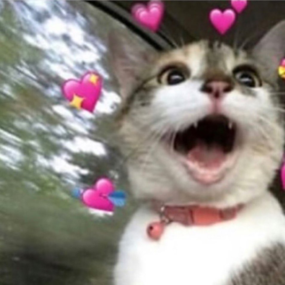 chaoticlifesp's tweet photo. @WANNADRINKS Mi rey mi vida mi amor mi todo, te extraño. 🥺 https://t.co/a9l6Csnraf
