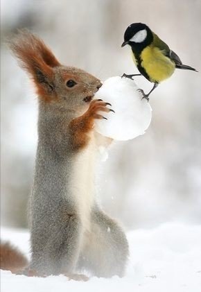 Good morning, happy monday and a beautiful new week for all, enjoy a wonderful day dear friends💐💚💛🤗