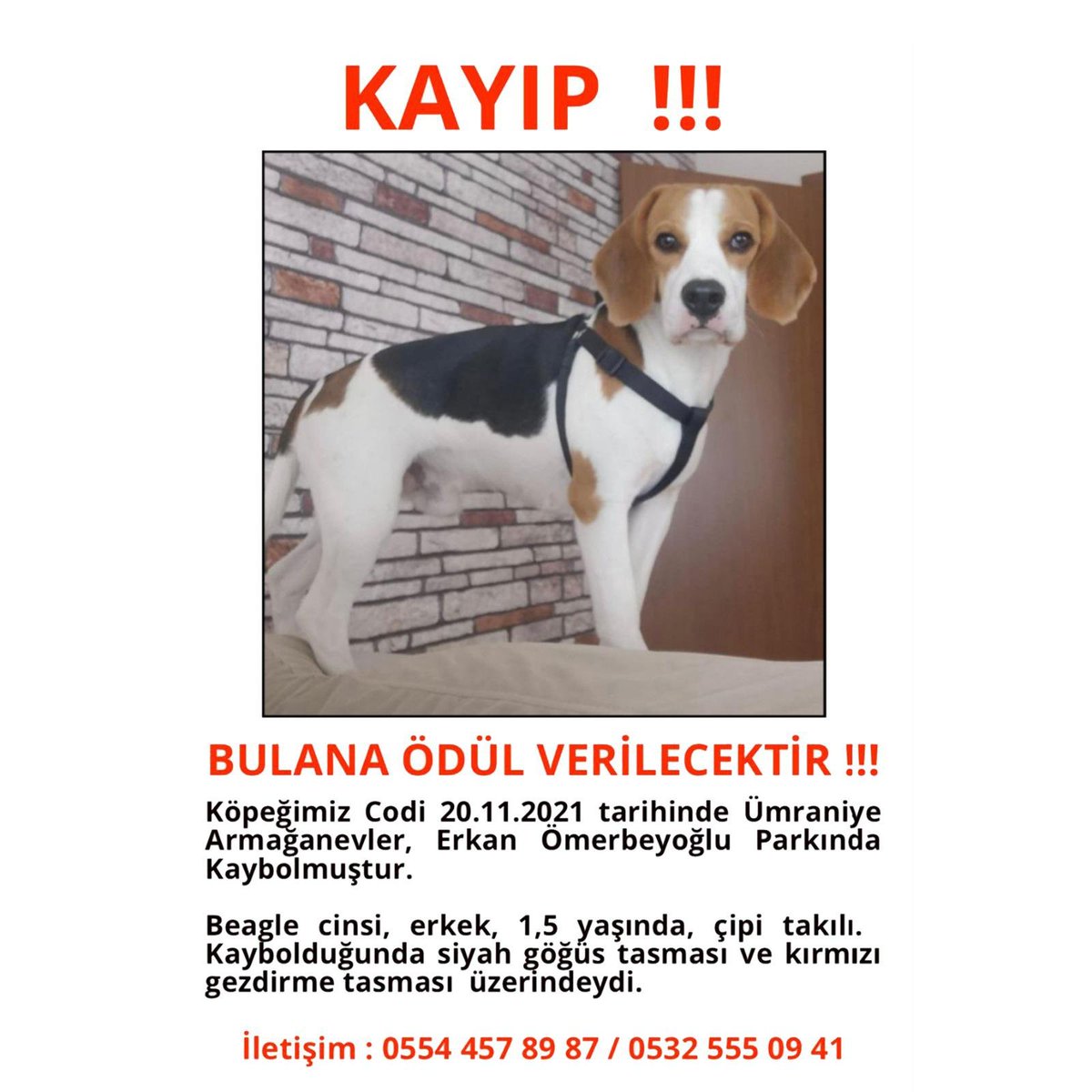 sinem_isiyel's tweet photo. @danlabilic @asipislik @PuCCaa @pandoragandhi @pakiteysis @tekerleklibavul @ApartmanCeosu @ahbapplatformu @alosmanic @Ebrununbu @batesmotelpro  @CansevenCemal @cemfoni @harikabiriyim @evrimguvenc @hakikipapa @ahbap_istanbul @kumrutelasi @haluklevent @littleiv3 @OguzhanUgur https://t.co/Cq3isEFsqM