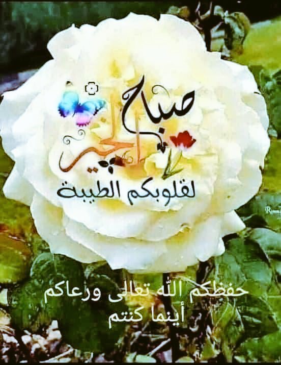 #نصيحة_غالية لمن يثمن ويقدر قيمتها وأثرها.....
اذا وضعك الله في مكان تستطيع من خلاله خدمة محتاج فأفعل فانك لاتدري ماتفعل بك دعوة صادقة من أحدهم ، فربما كان بينهم من لو اقسم على الله لأبره.......
#خدمة_تسهيل
#بدر_الوهيبي