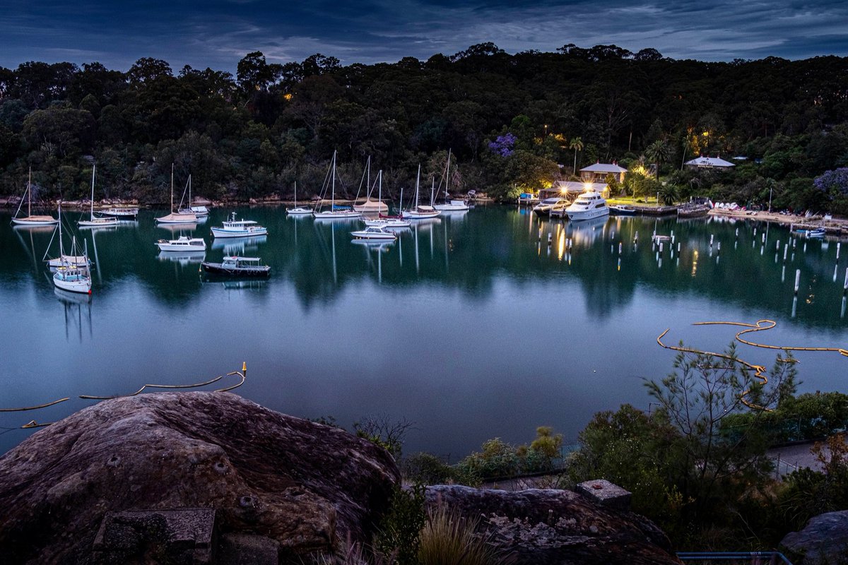 tim ritchie tweet media