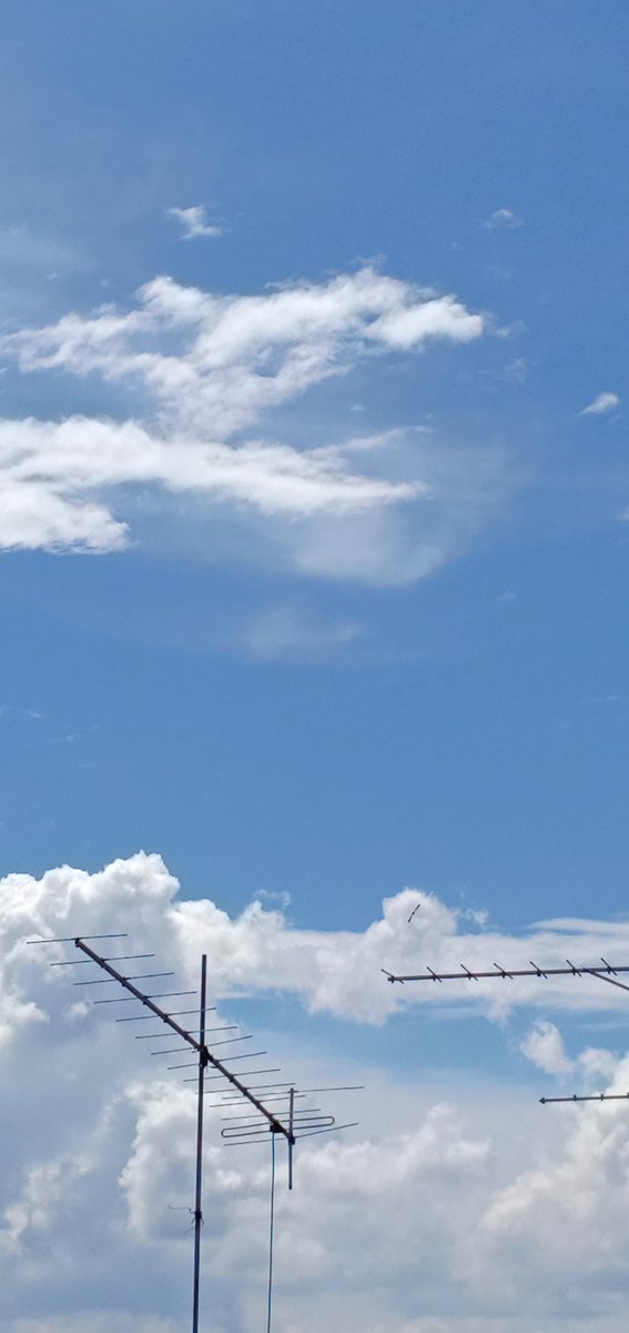 Cryptochickoo's tweet image. Hi all, how is the weather in your country?🌞🥵