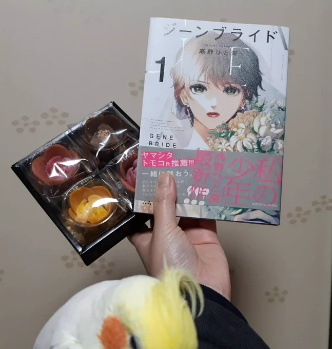 ジーンブライド1巻ご恵投頂きました♡うれし〜美し〜!
本編SF(少なからずF〇〇〇)な状況描写はしんどいんだけどそれぞれのSFをどうにかやってるいっちゃんと正木くんの相互理解の様子や支えてくれる上司や友人の存在に救われいい湯加減で読み進めていたところ本流のSFが出てきてエ?FY本誌買った 