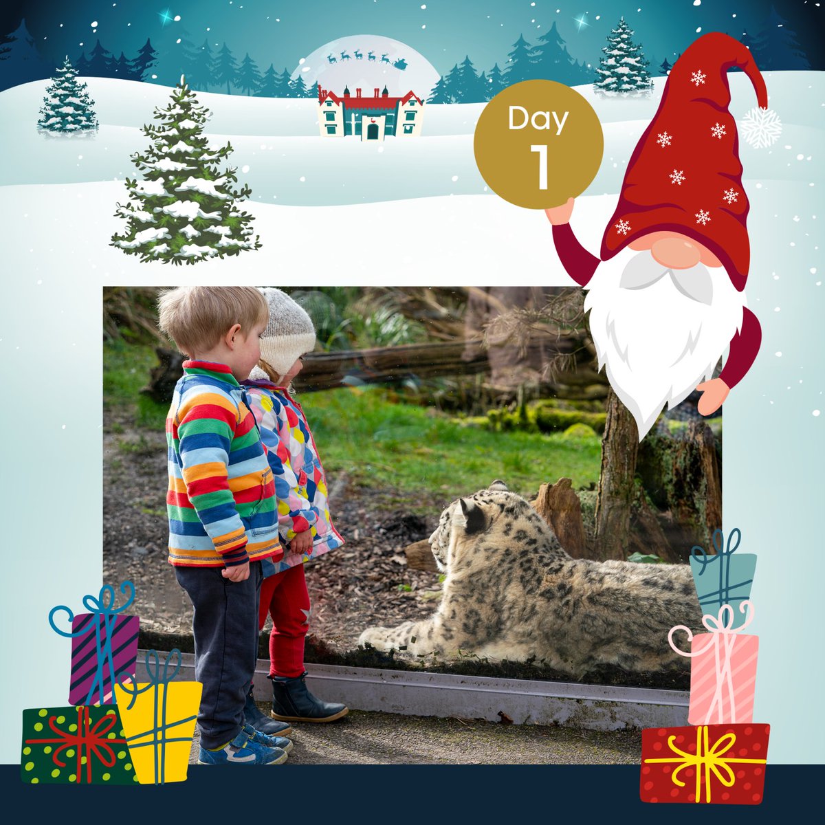 Marwellwildlife's tweet photo. 🎁🎅 DAY 1 🎅🎁

To kickstart our exciting #12DaysofMarwell giveaway, we’re giving two of you the chance to win tickets to the zoo, plus a copy of our 2022 Marwell calendar!

To enter, all you need to do is head over to our Facebook or Instagram page and check out our post there. https://t.co/Qt9BYt34hV