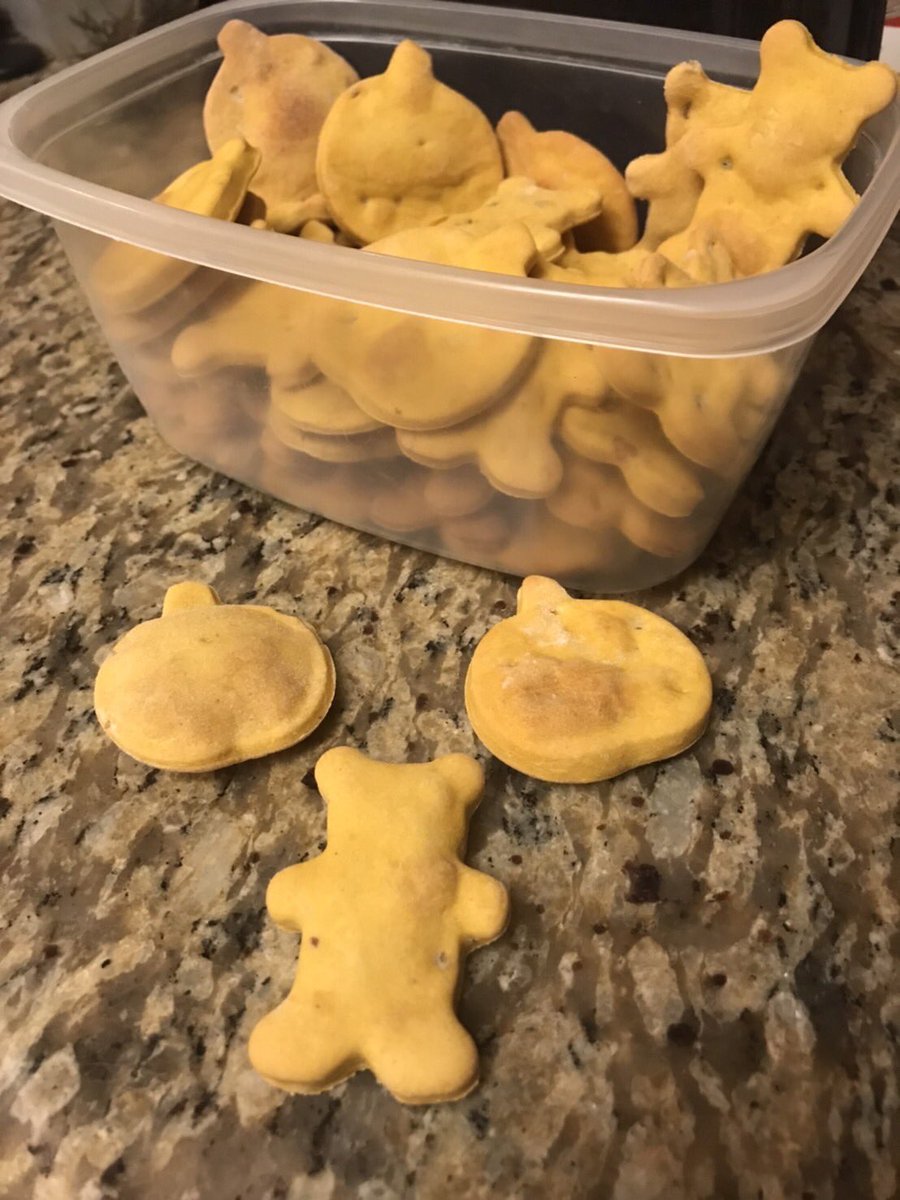 JadeAndMel's tweet photo. Hey it’s You’nme! Actually it’s just Melody right now. Once upon a time my dogs interrupted one of our video recordings. Today I decided to make them some treats from scratch! I thought it would be fun to share with you all! 
#treats #DogLover #Dog #YouTuber https://t.co/4VreGkn6Gk