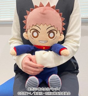yuujibear's tweet photo. not my actual pic but look at how big he is 🥰🥰 https://t.co/Gv6PeF14qT