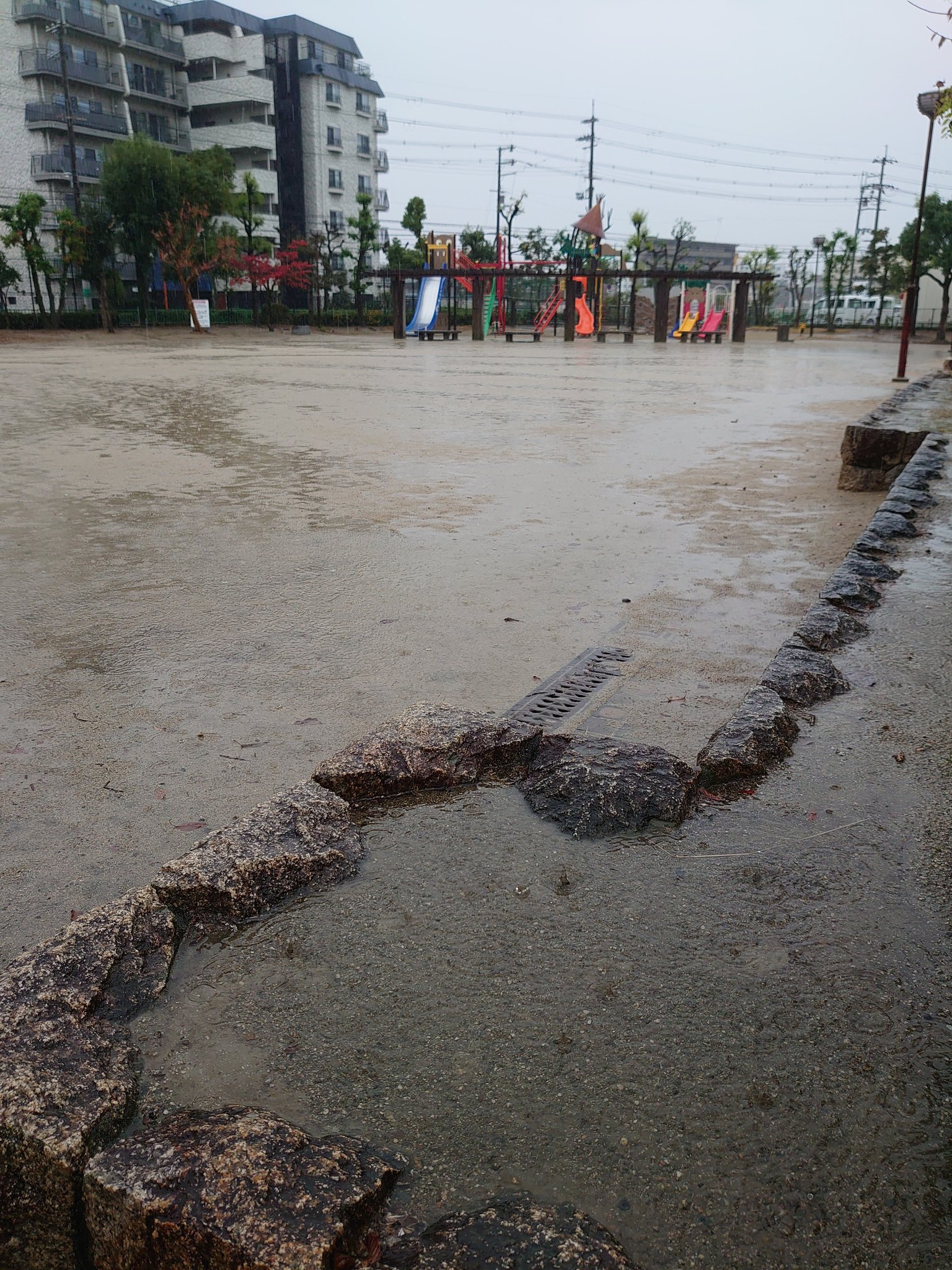 わかほ薬局 上京したての頃 ある土砂降りの日に 雨 ジャジャ降りやなあ って言うたら周りの友達から爆笑されました ザザ降り って言い直したらさらに爆笑されたのを思い出しました 標準語やと思ってた田舎者あるあるです 土砂降り ジャジャ