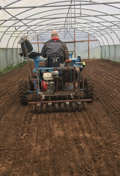 Dr Grace Milburn tweet media