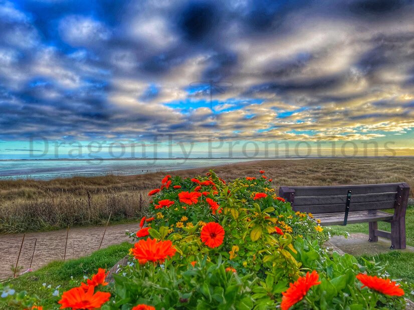 DragonflyPromo2's tweet photo. What a beautiful display. Flowers and sky.

 #scotland #highlands #travel #scottishhighlands  #nature #visitscotland #scottish  #landscape #photography #adventure #lochness #scotlandsbeauty  #traveling #landscapephotography #travelphotography #travelgram #lovescotland #flowers https://t.co/zTNBMQ2xHF
