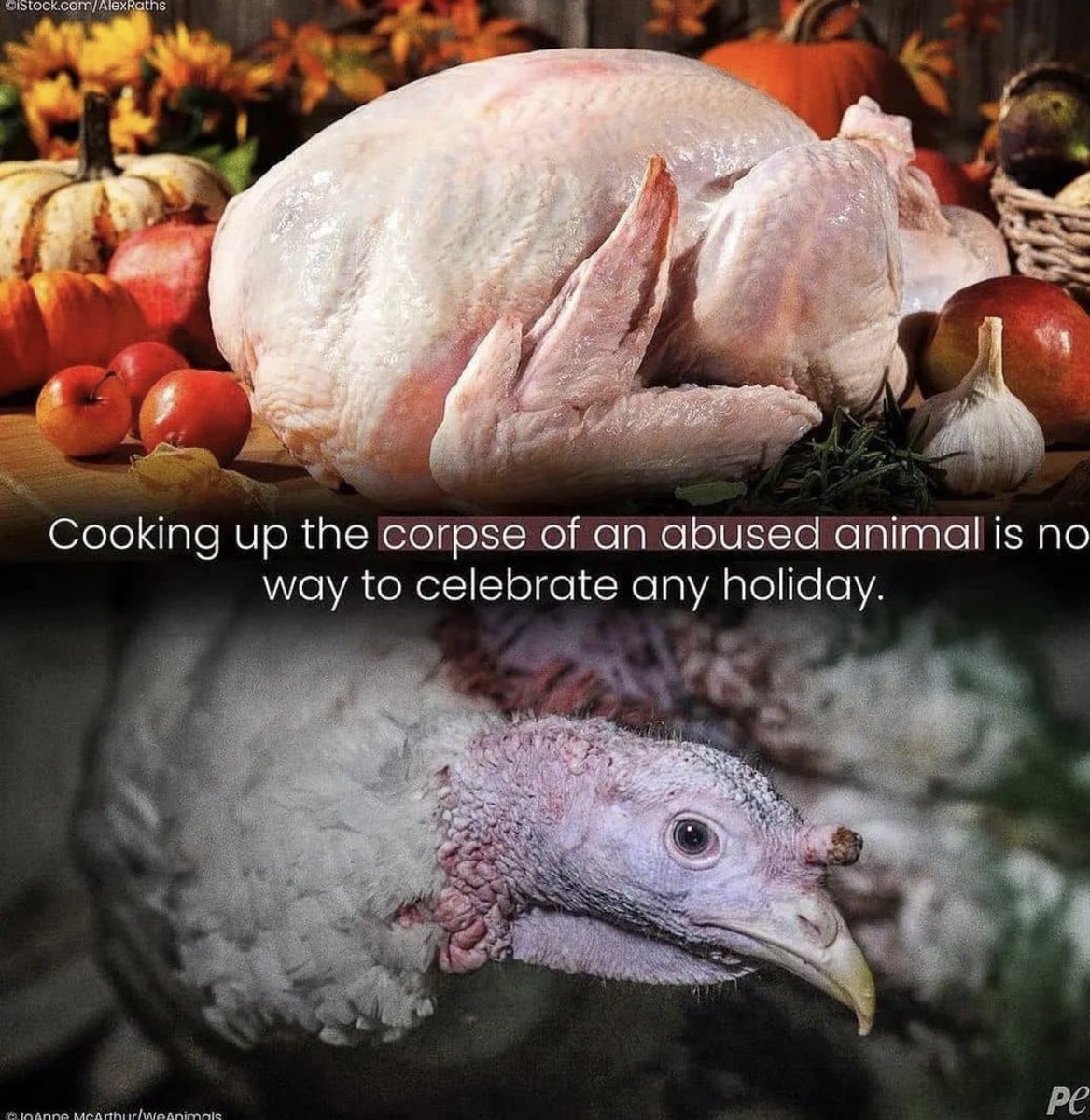 #GoVegan