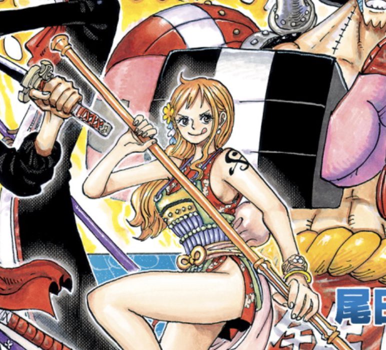 ワンピース ナミの胸のカップ数は スリーサイズや他女性キャラと比較も Selvy