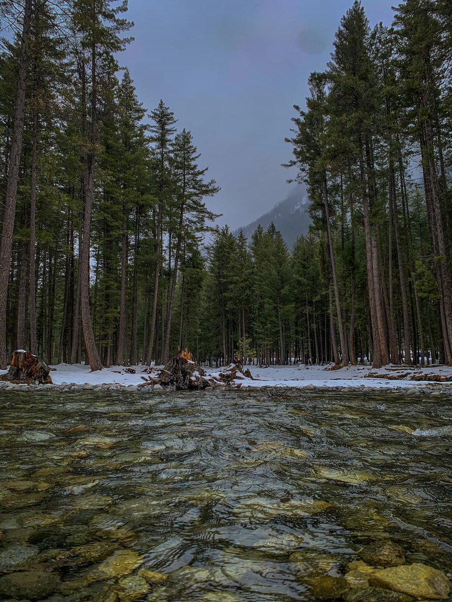kumratvalley's tweet photo. #kumratvalley after recent #snowfall2021
Credit: Hashim Chippa https://t.co/6WrSvN5iwJ