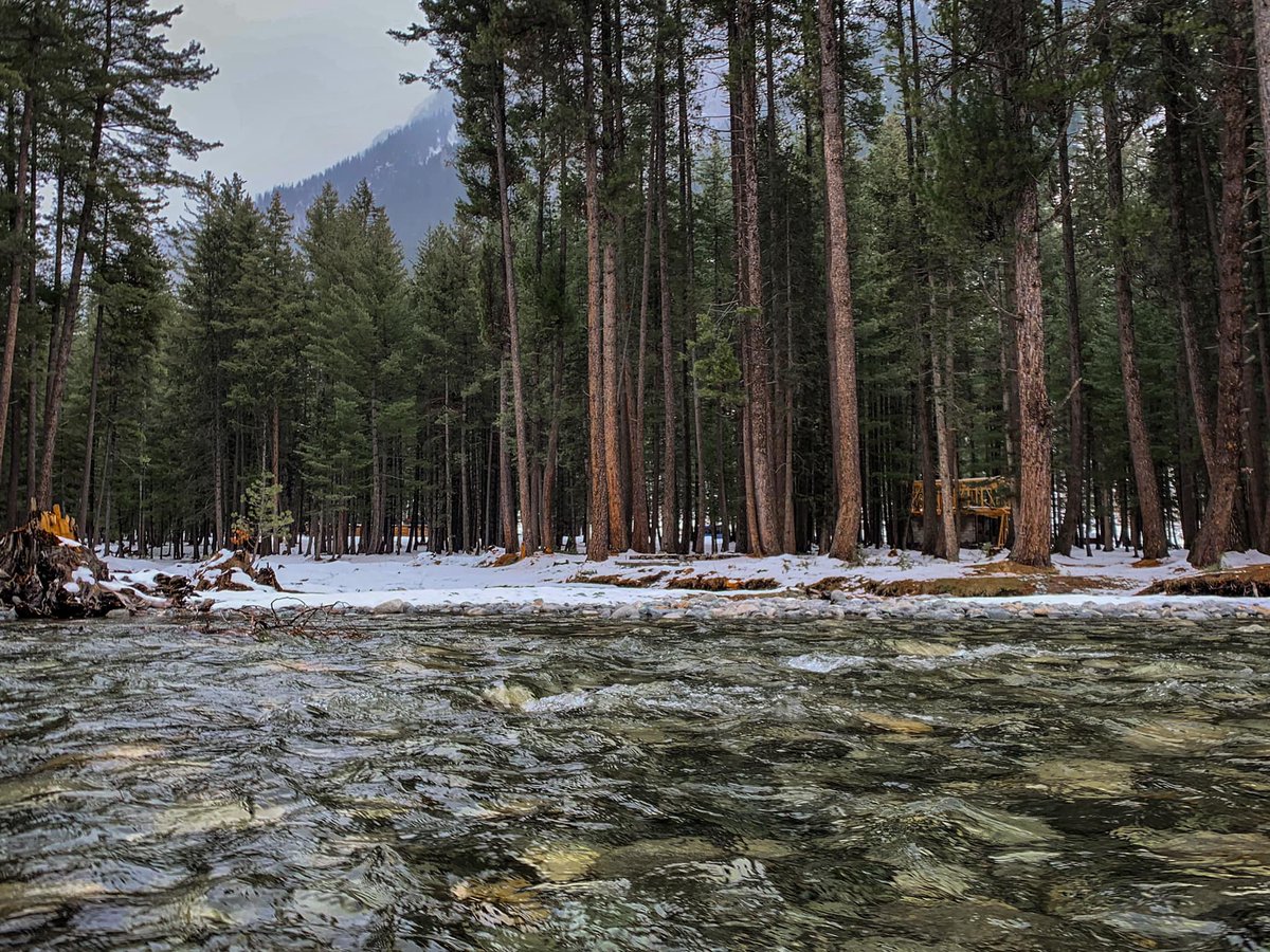 kumratvalley's tweet photo. #kumratvalley after recent #snowfall2021
Credit: Hashim Chippa https://t.co/6WrSvN5iwJ
