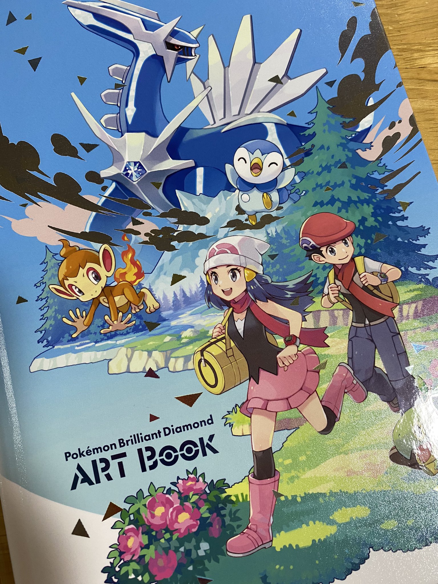 陽向咲 今さらっと読んだんだけどとても懐かしい気持ちになった ルビーとダイヤモンドは結構プレイしてて あかいいととかわらずのいしで厳選してた記憶 今のポケモンはほとんど知らないよ もうすぐ1000体行くんだっけか T Co Kboyx4kl3z