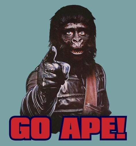 andriucm's tweet photo. @cryptomanran @crypto_banter @cryptomanran @Sheldon_Sniper @monkeyballgame 
Ready for that IDO! https://t.co/nMp0LoRL7x