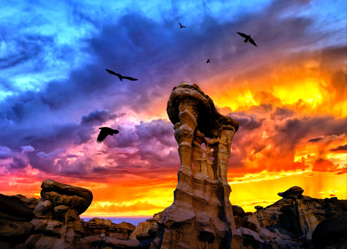 PickNTrip's tweet photo. #NewMexico Sunset ✌ 😁🤳 🇺🇸🇺🇸🇺🇸

https://t.co/yLTbO297uD flights,Hotels &amp; More!

#nature_perfection #beautifulworld https://t.co/F1hrl9O82f