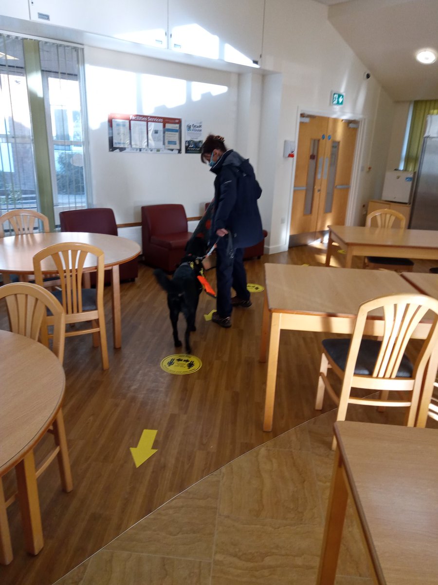 Blossomwood🐝🦋 (@mhumillbrook) on Twitter photo 